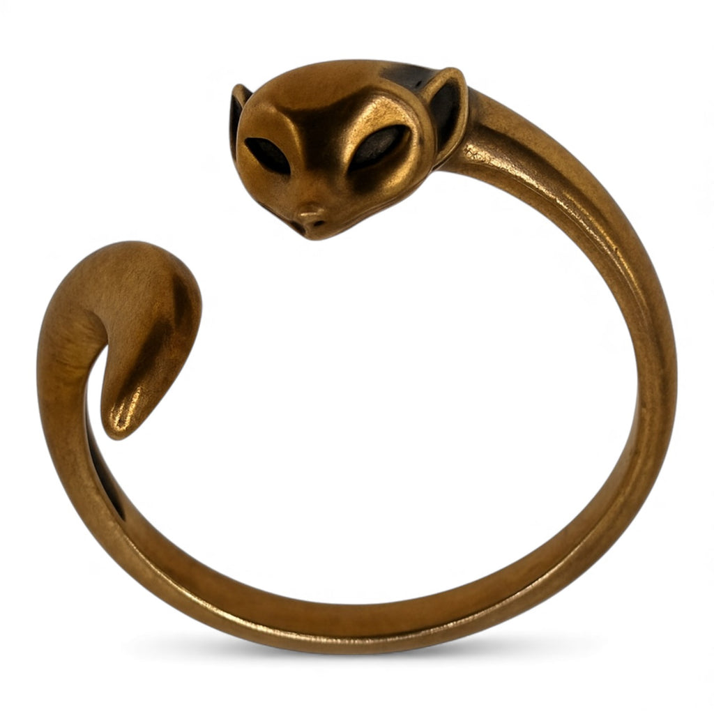 ANILLO ZORRO DE PLATA